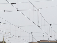 Miasto wypowie umowę na zakup energii?