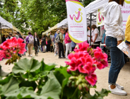 Miasto z pomocą organizacjom pozarządowym