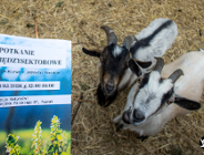 Międzysektorowe rozmowy o kryzysach