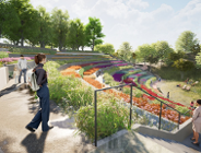 Na Cytadeli powstanie kolorowy ogród miododajny