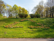Na Cytadeli zakwitł barwny symbol recyklingu - Wstęga Möbiusa