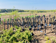 Na dawnym składowisku urośnie piękny las