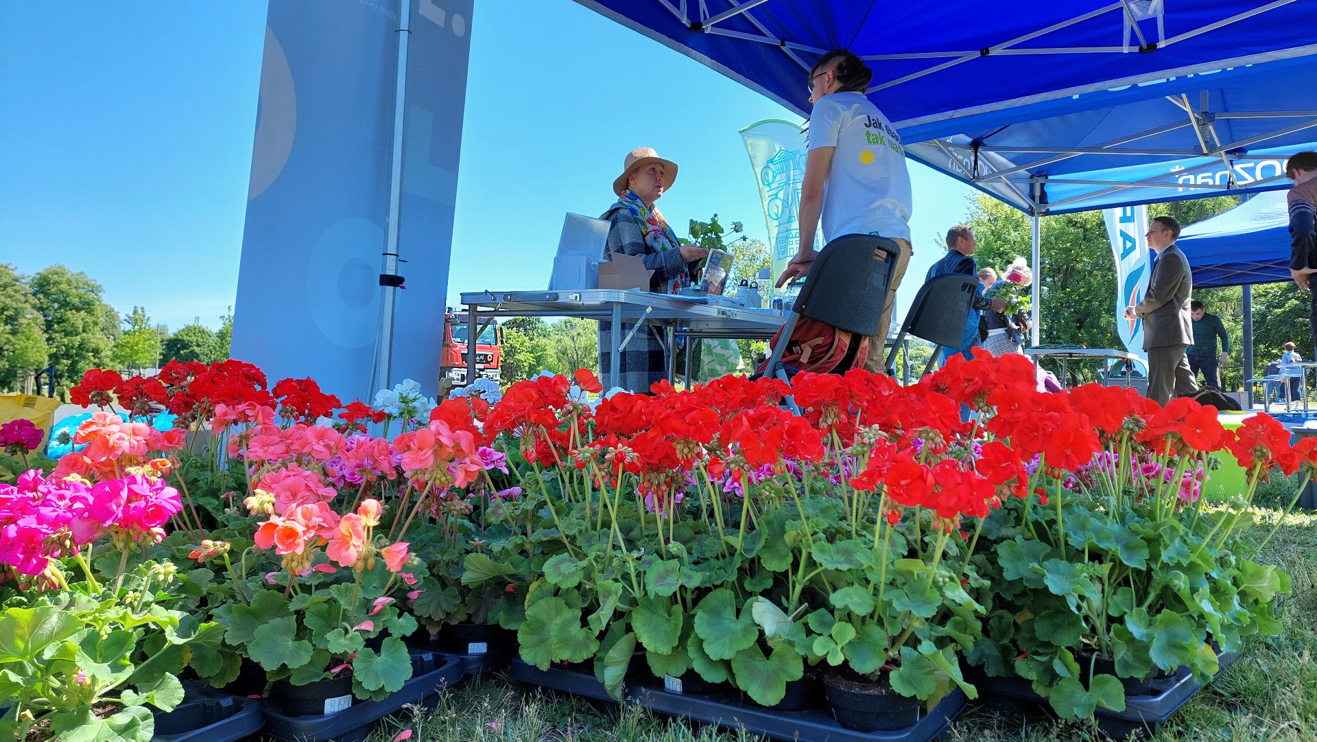 Na pierwszym planie zdjęcia widoczne są sadzonki kwiatów, zaraz za nimi na drugim planie stoisko Wydziału Gospodarki Komunalnej na którym pracownik rozmawia z osobą odbierającą sadzonkę.