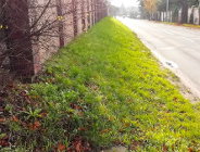 Na ul. Morasko powstanie nowy chodnik