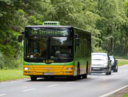 Nad jezioro do Strzeszynka autobusem