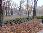Nadolnik będzie miał swój park