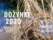 Najładniejszy wianek dożynkowy - konkurs