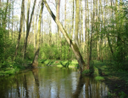 Najnowszy Living Planet Report 2010