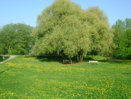 Napięty plan