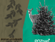 Nie tylko odpadom można nadać "drugie życie" - martwym drzewom także!