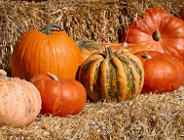 Nie wyrzucaj jesiennych ozdób - daj dyniom drugie życie.