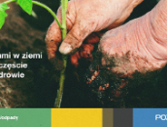 Niedoceniane tony odpadów można zamienić w bezcenny nawóz