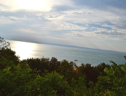 Niespodzianki w tropikach