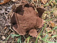 Niezwykłe znalezisko w centrum Poznania