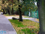 Nowa aleja spacerowa wzdłuż ulicy Skibowej na Szczepankowie