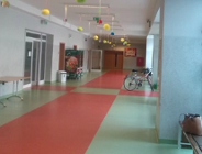 Nowa sieć szkół