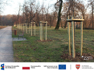 Nowa zieleń i więcej ławek w Parku Tysiąclecia