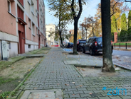 Nowe rośliny na ul. Stablewskiego