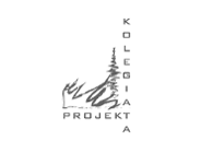 Nowy Rynek z Kolegiatą w tle