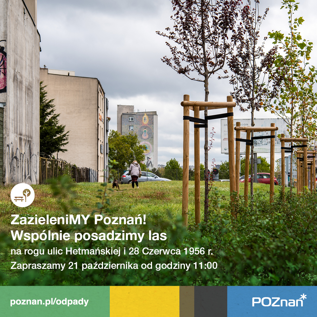 Poznań - grafika artykułu