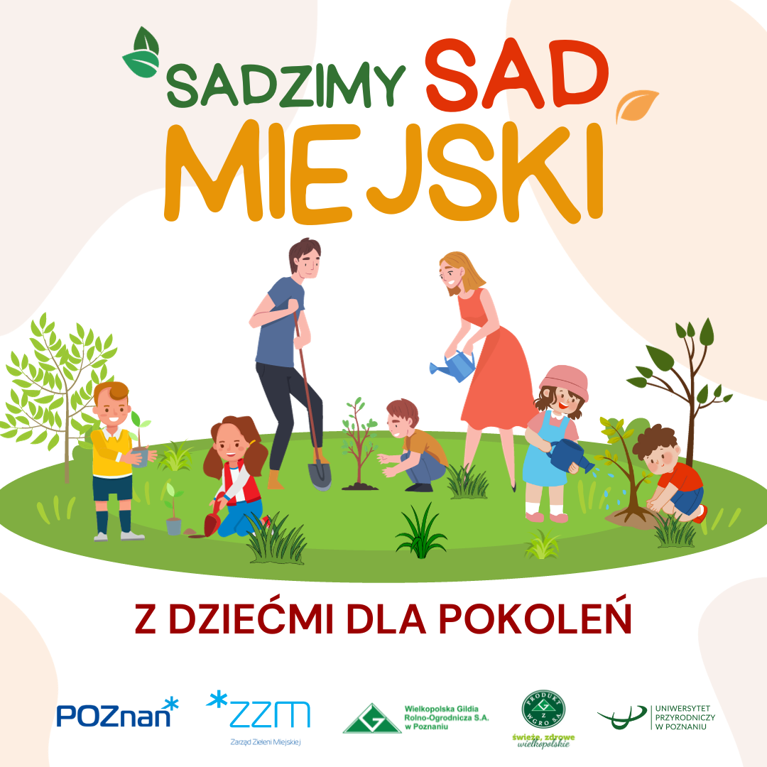 grafika przedstawiająca sad miejski - grafika artykułu