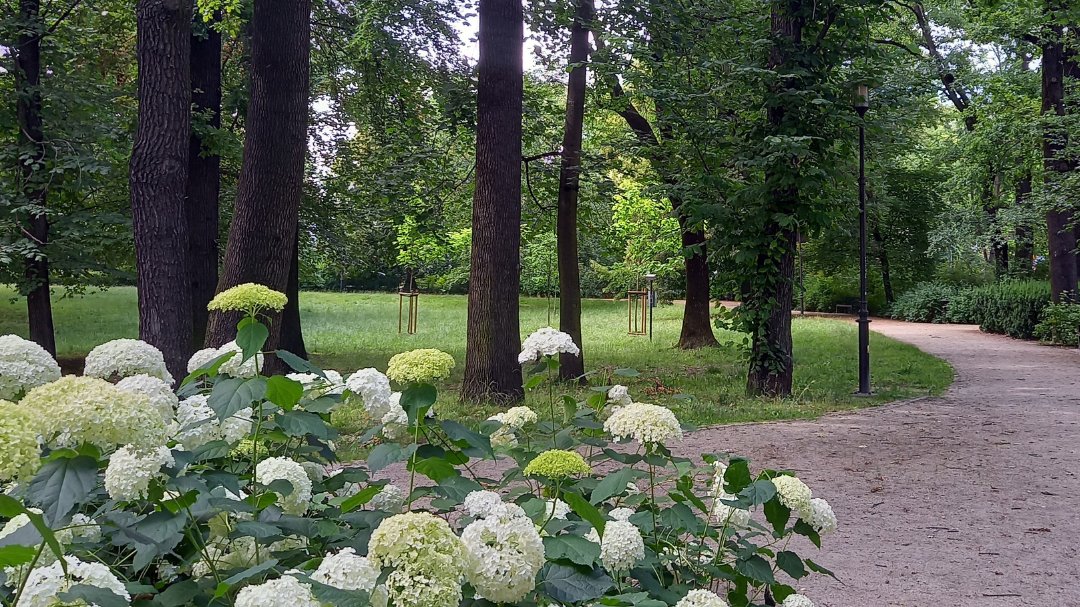 park Stanisława Moniuszki