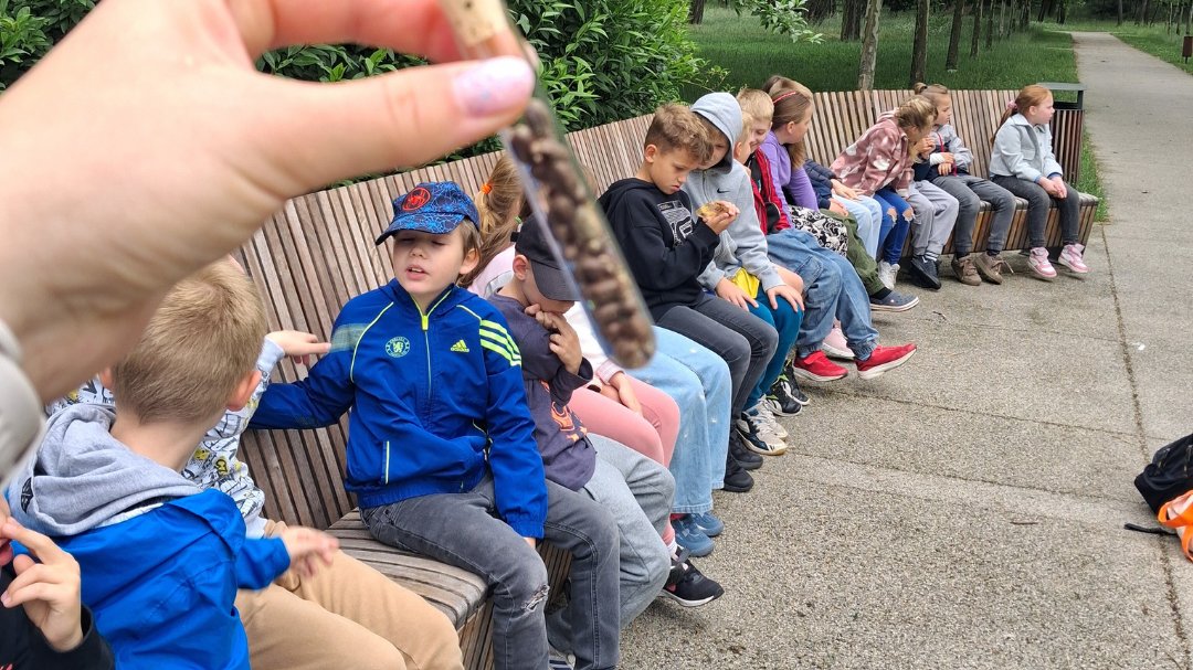 Zdjęcie 3