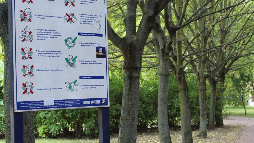 Rusza rewitalizacja Parku Czarneckiego