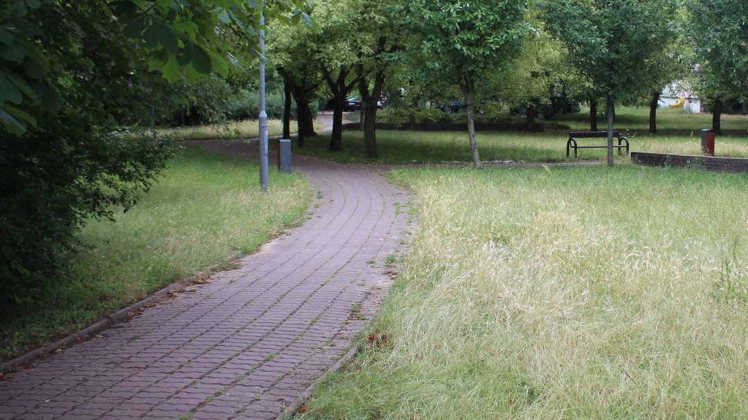 Rusza rewitalizacja Parku Czarneckiego