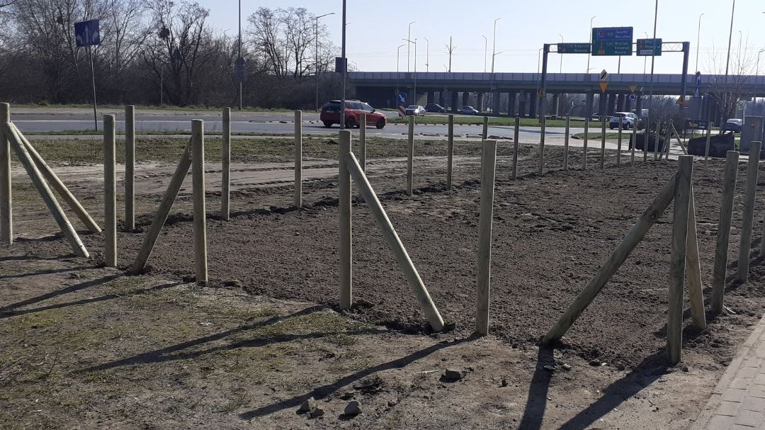 To już trzeci las kieszonkowy na Wildzie