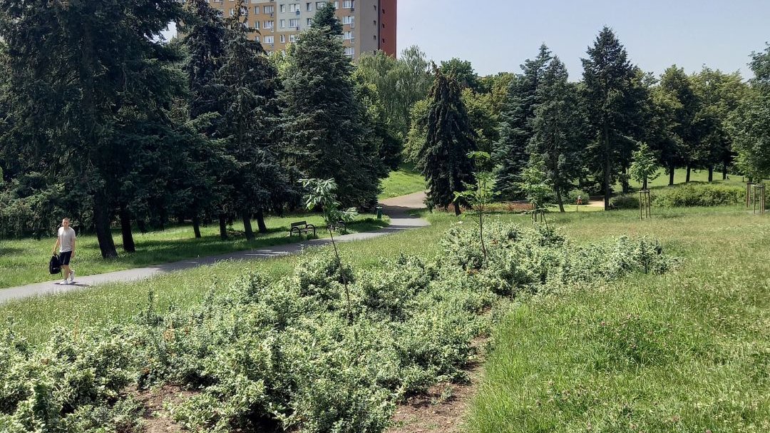 Park Gagarina ma blisko 3 hektary powierzchni - fot. Julia Zemła/ZZM