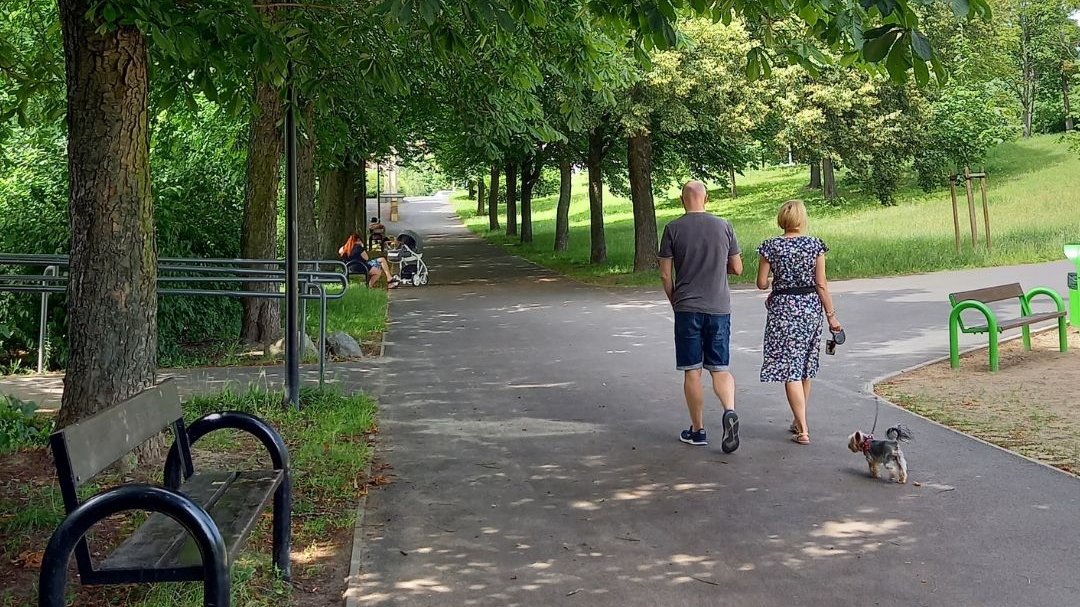 Ścieżka spacerowa w Parku Jurija Gagarina na Winogradach (obecnie) - fot. Julia Zemła/ZZM