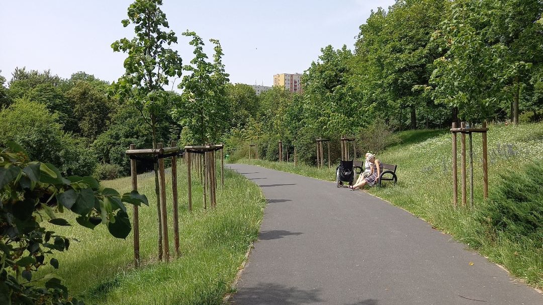 Park Jurira Gagarina ma już prawie pół wieku - fot. Julia Zemła/ZZM
