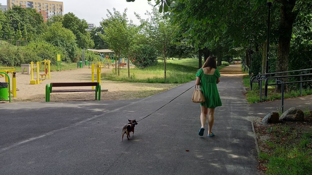 Park Gagarina ma blisko 3 hektary powierzchni - fot. Julia Zemła/ZZM
