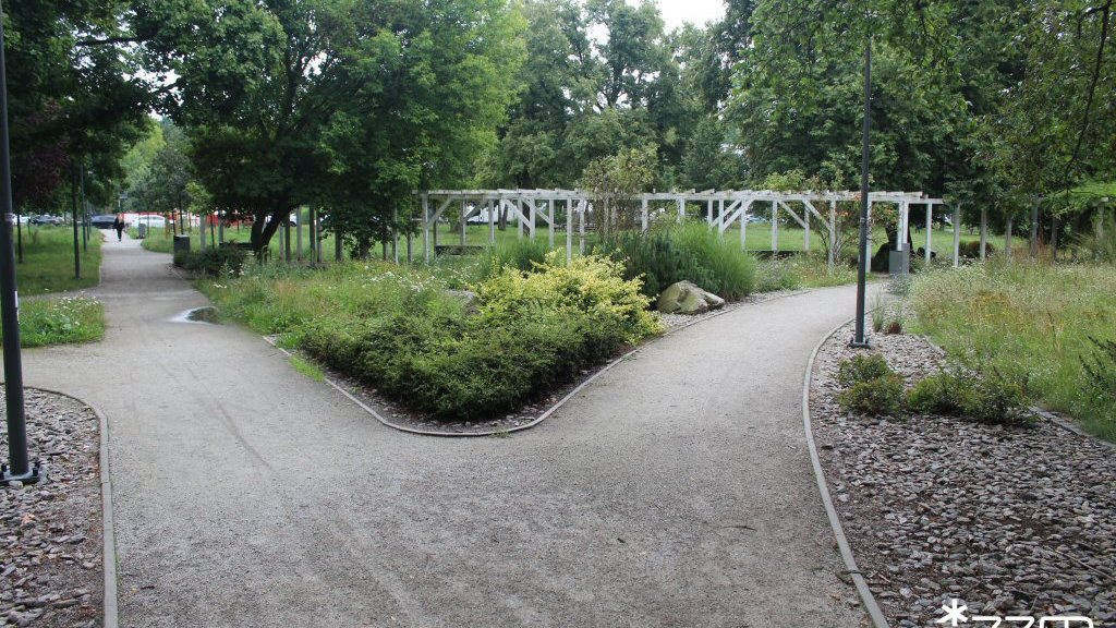 Park Astronomiczny Jana Heweliusza - sierpień 2025