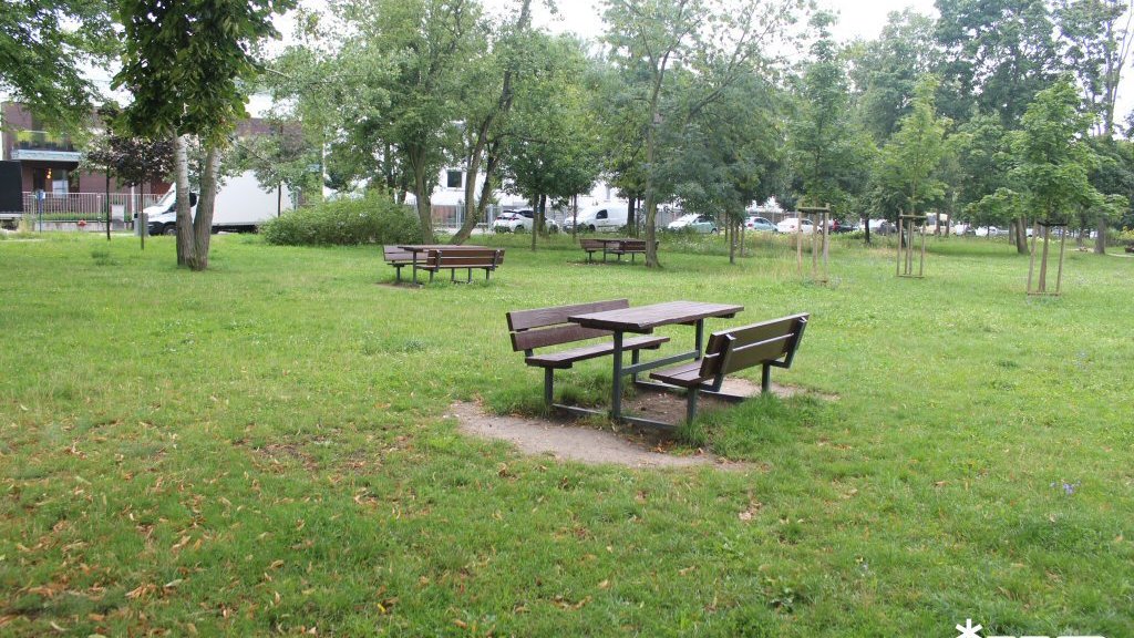 Park Astronomiczny Jana Heweliusza - sierpień 2025