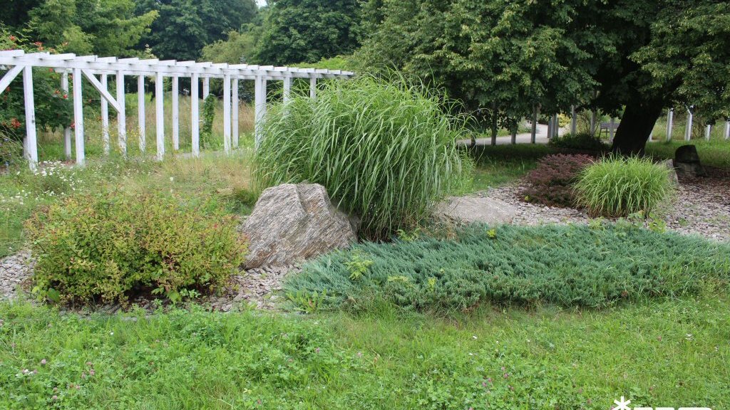Park Astronomiczny Jana Heweliusza - sierpień 2025