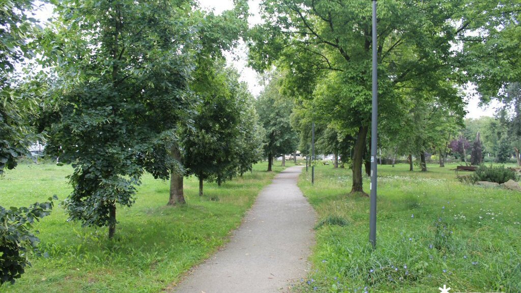 Park Astronomiczny Jana Heweliusza - sierpień 2025