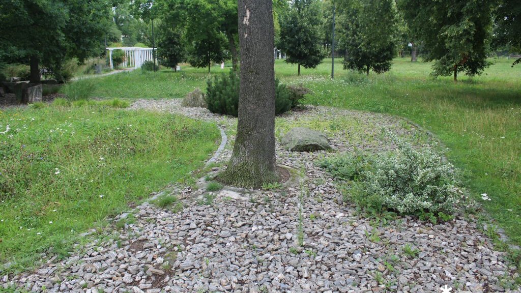 Park Astronomiczny Jana Heweliusza - sierpień 2025