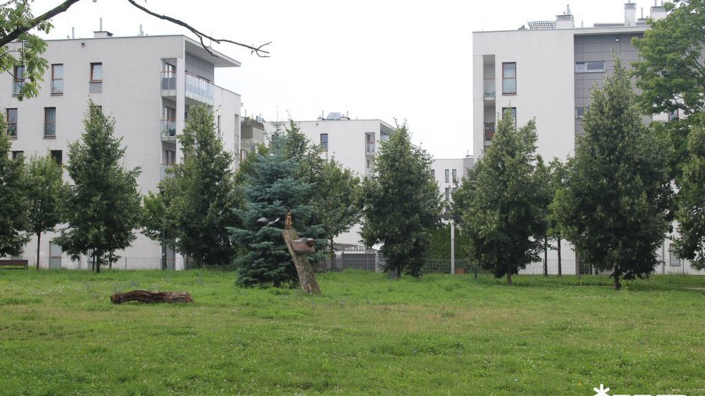 Park Astronomiczny Jana Heweliusza - sierpień 2025