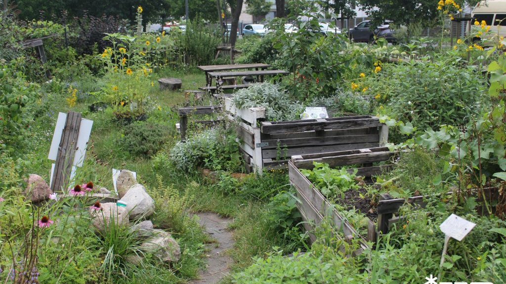 Park Astronomiczny Jana Heweliusza - sierpień 2025