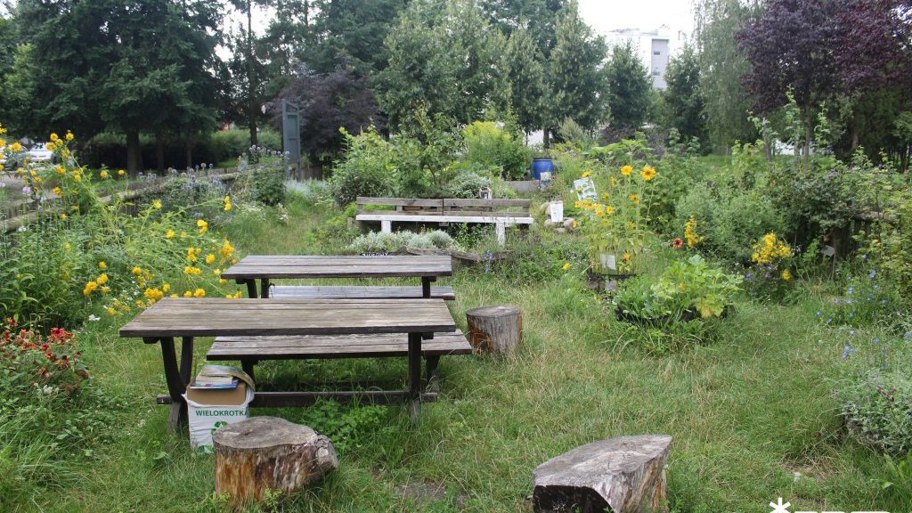 Park Astronomiczny Jana Heweliusza - sierpień 2025