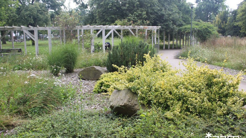 Park Astronomiczny Jana Heweliusza - sierpień 2025