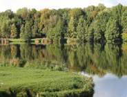 Ocena jakości wody pobranej w dniu 22.05.2007 r.z kąpielisk zorganizowanych na wodach powierzchniowych zlokalizowanych na terenie Poznania