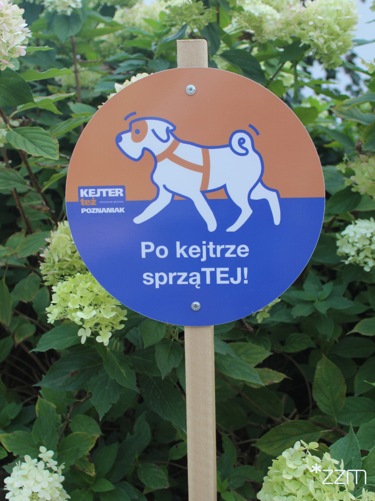 Okrągła, pomarańczowo-niebieska tabliczka ustawiona na tle kwitnących hortensji. Widnieje na niej rysunek idącego psa oraz napis: "Po kejtrze sprząTEJ!".