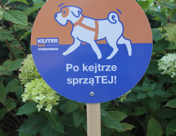 Okrągła, pomarańczowo-niebieska tabliczka ustawiona na tle kwitnących hortensji. Widnieje na niej rysunek idącego psa oraz napis: "Po kejtrze sprząTEJ!".