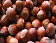 Orzechy i owsianka skuteczne w walce z cholesterolem
