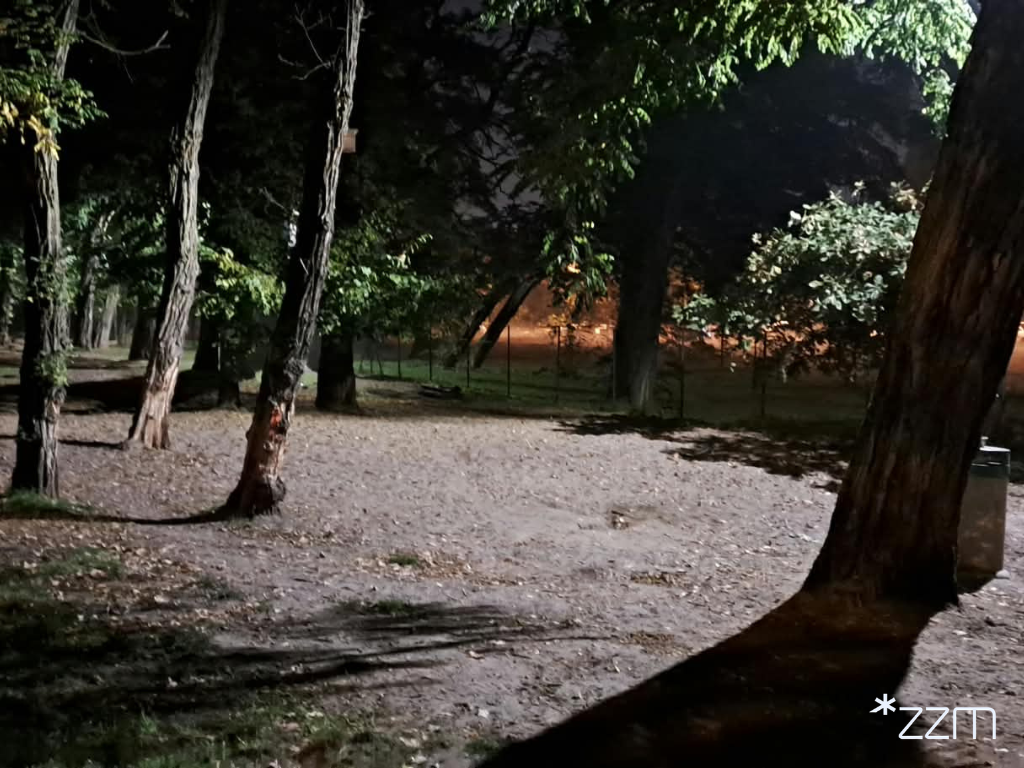 Oświetlony po zmroku fragment wybiegu dla psów przy ul. Piaśnickiej. Pomiędzy drzewami widać piaszczysty teren.