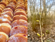 Pączki, które nie idą w boczki