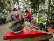 Palmiarnia pełna świątecznego klimatu i ekologicznych ozdób